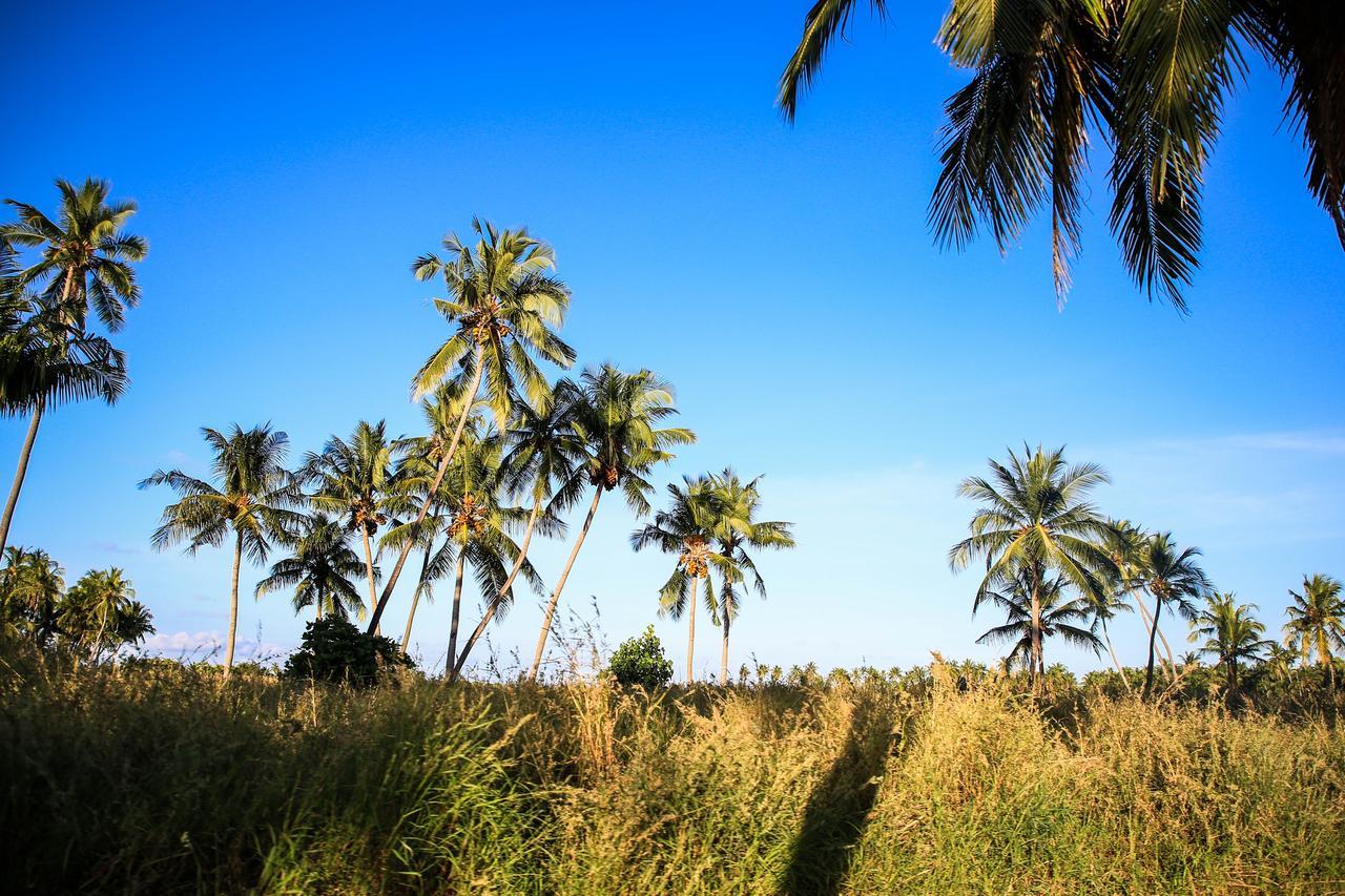 Evila Inn - Thoddoo Luaran gambar